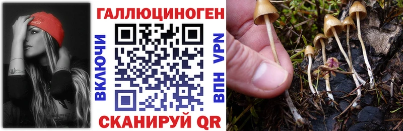 Купить  Острогожск  Псилоцибиновые грибы ЛСД 
